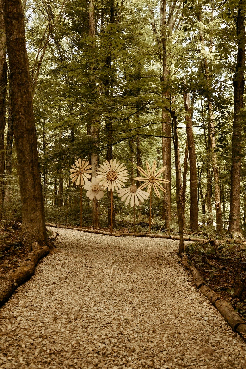 Signature Experience Package