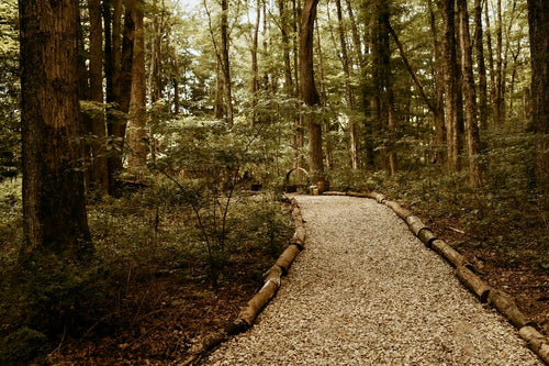 OAT Signature Experience Package